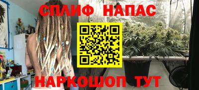 МДПВ Рязань